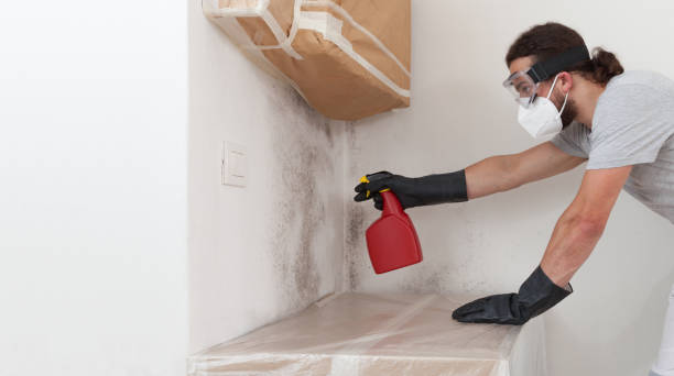 Professional Crawl Space Mold Removal technician working in Bloomington, MN