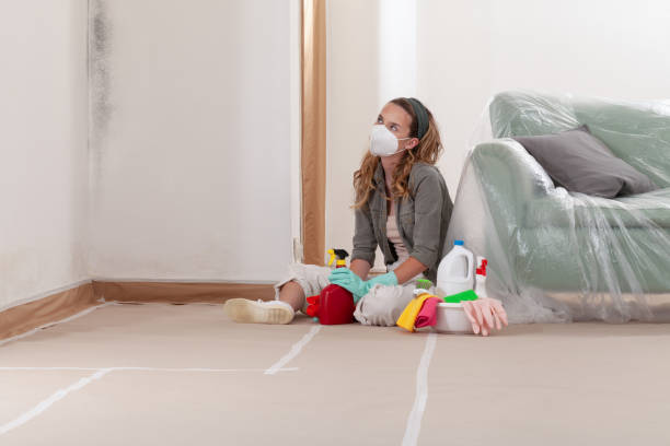 Reliable Crawl Space Mold Removal contractor in Bloomington, MN by WQB Mold Removal